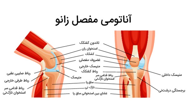 درمان زانو با فیزیوتراپی