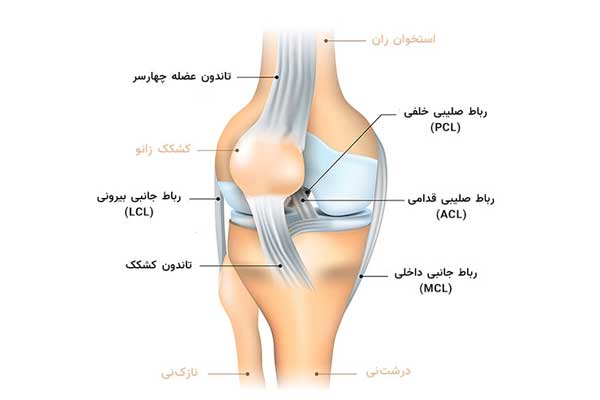 درمان رباط صلیبی زانو
